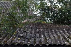 smaltimento tettoia eternit smaltimento tettoia eternit