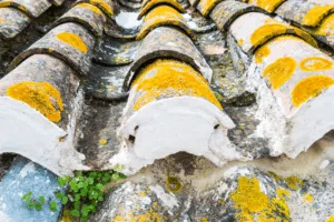 smaltimento tetto eternit vicino casa smaltimento tetto eternit vicino casa