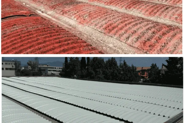 Fase di smaltimento di materiali contenenti amianto